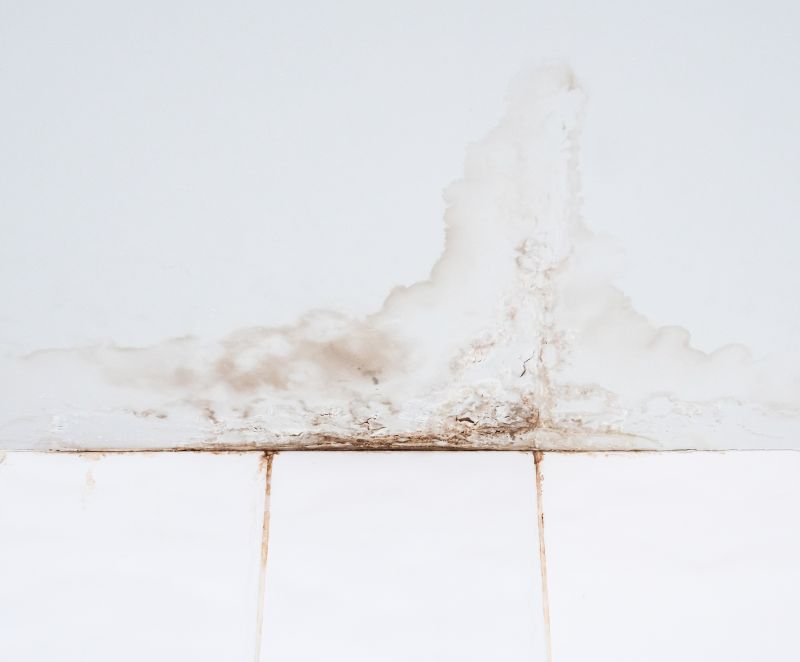Bathroom Water Damage Repair in Alpharetta, GA