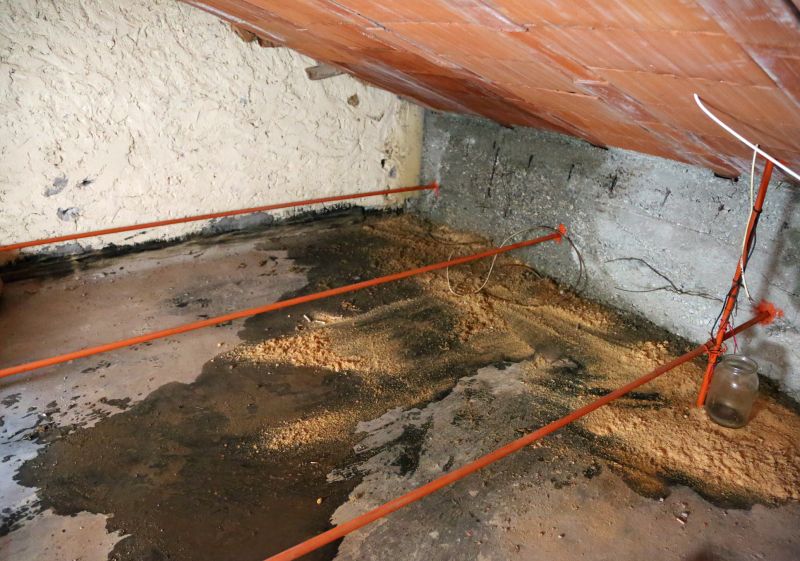 Bathroom Water Damage Repair in Conroe, TX
