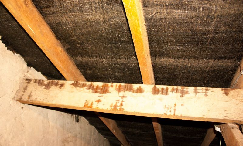 Bathroom Water Damage Repair in Charleston, SC