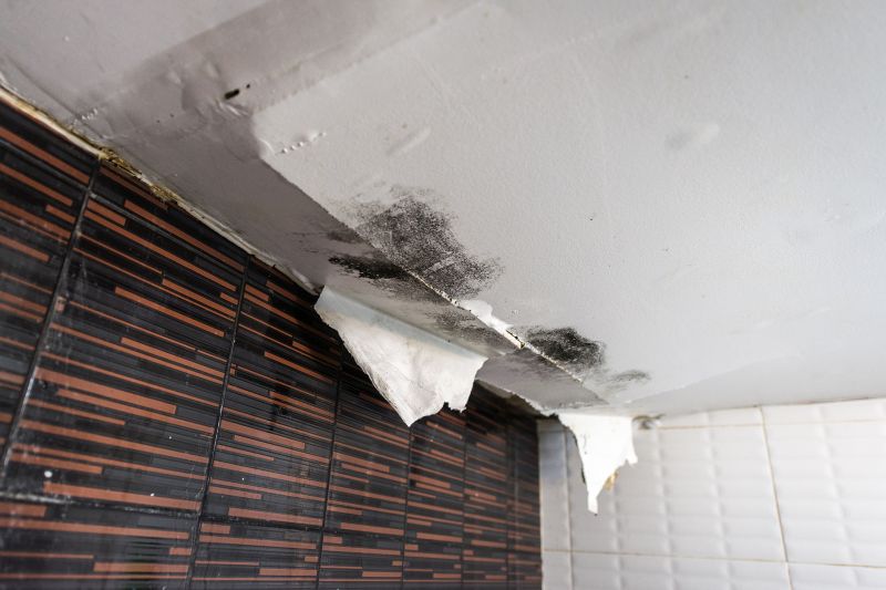 Bathroom Water Damage Repair in Denver, CO