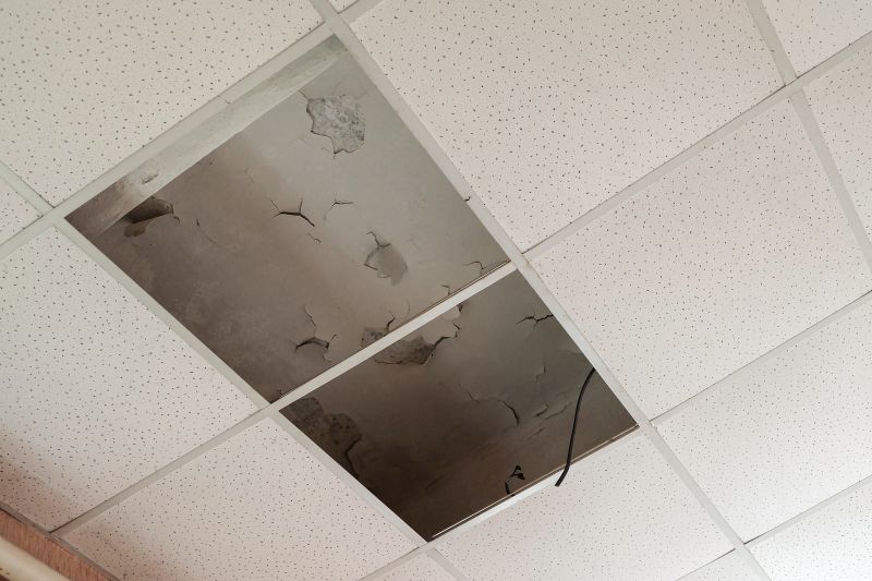 Water Damage Ceiling Repair in Alpharetta, GA